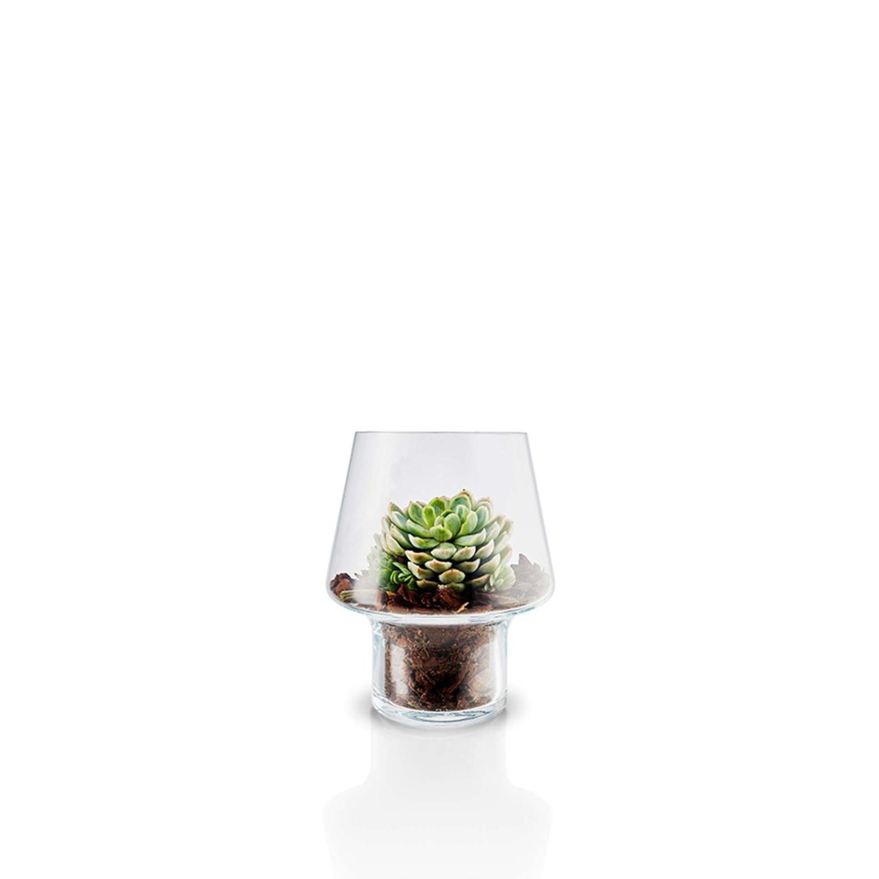 Succulent glass vase - Ø 15 cm