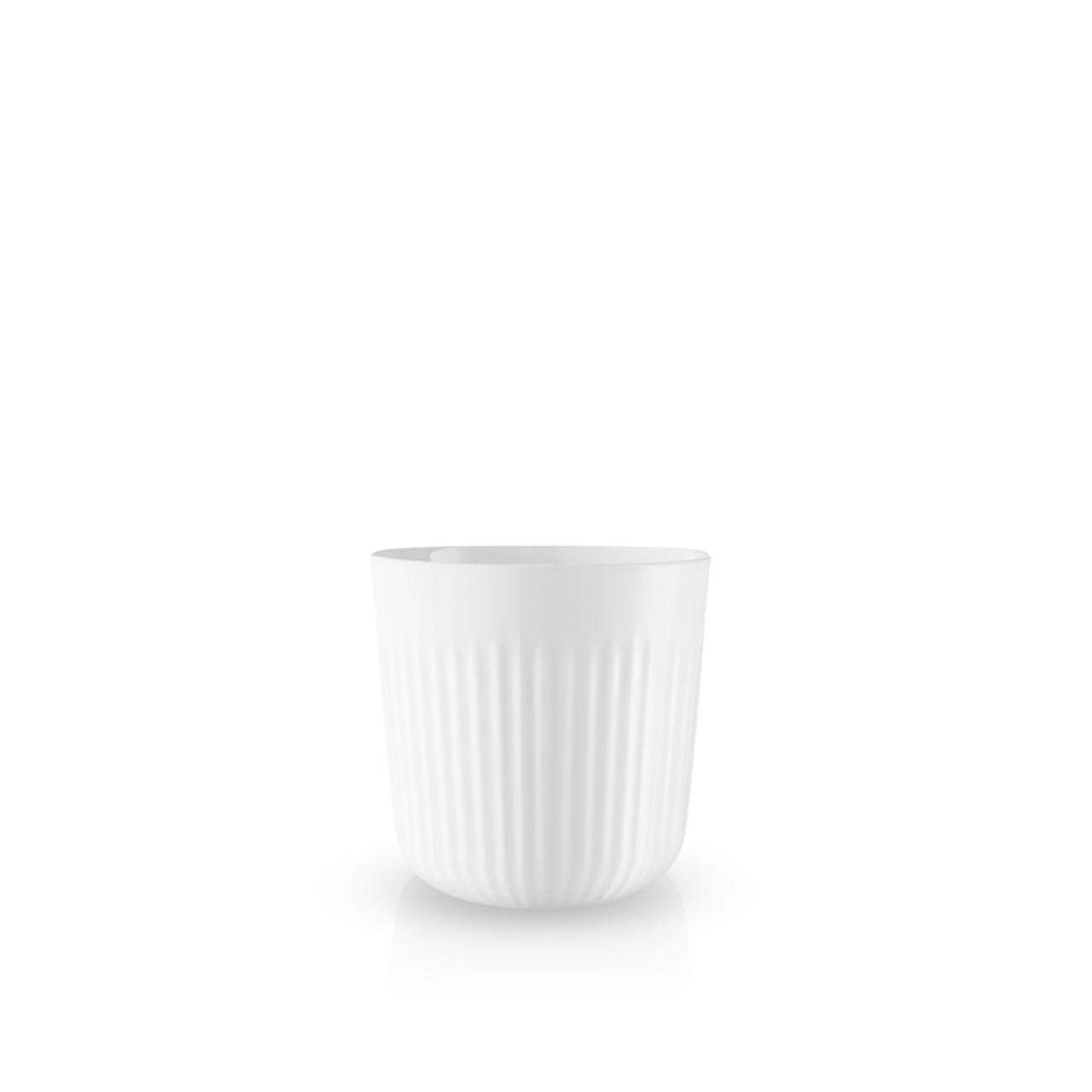 Legio Nova Thermo cup - 25 cl, 1 pcs