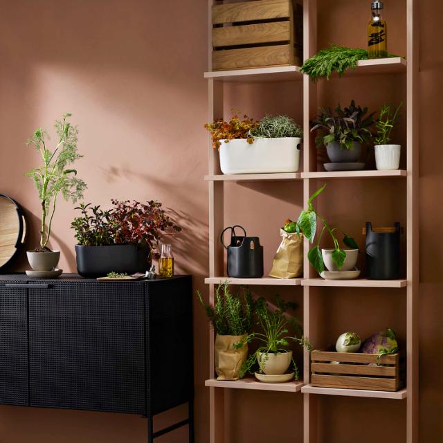 Herb organiser - Selvvandende - Sort
