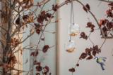 Glass bird feeders - Set of two - Ø10 cm