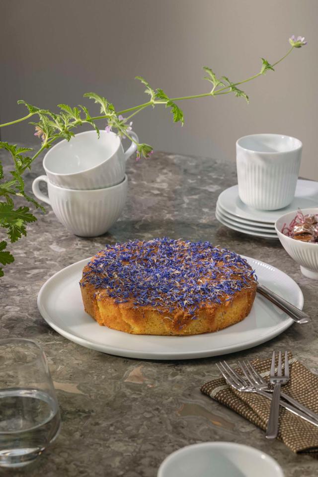 Legio Nova Pizza Plate - 31.5 cm