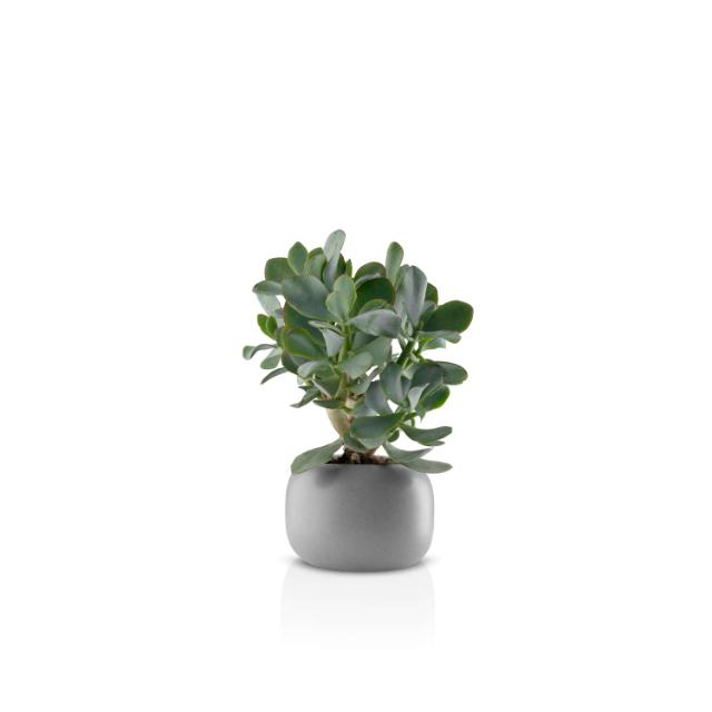 Stone flowerpot - Ø16 cm