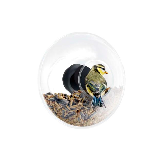 Window bird feeder - Small