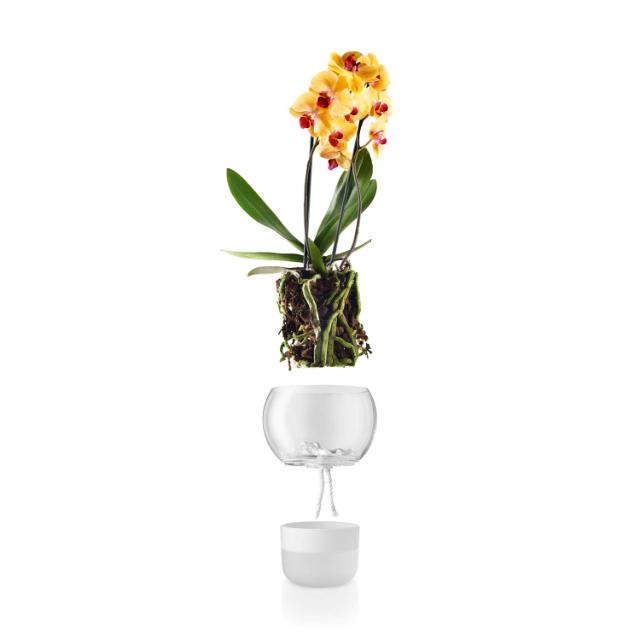 Orchid pot - Ø15 cm. - self-watering