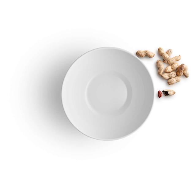 Legio Nova Bowl 1.8 L