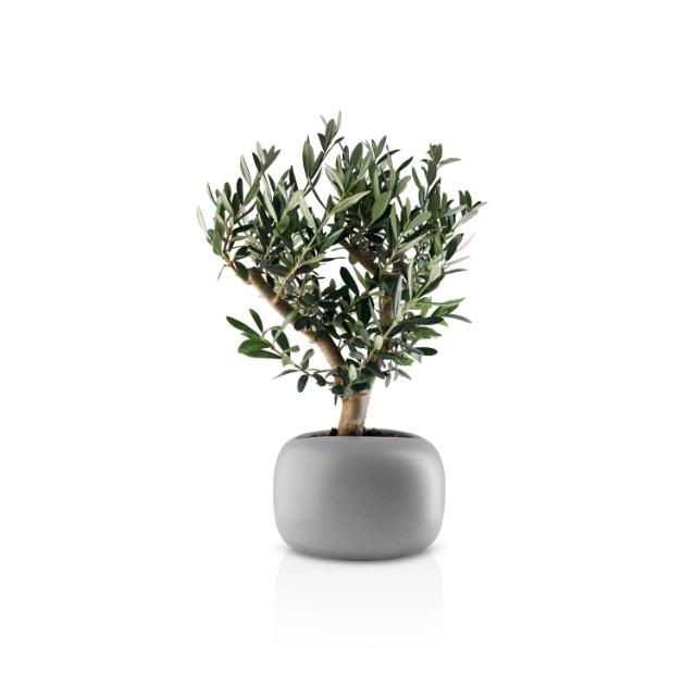 Stone flowerpot - Ø19 cm